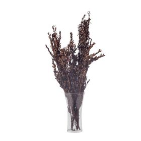 Euro Flora 70 cm Kuru Bitki Buxus
