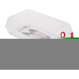 Euro Flora BZEFL67548 Lady 32x19x10 cm Kadın Ayakkabı Kutusu