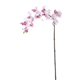 Euro Flora Yapay Çiçek Orkide 57.5cm