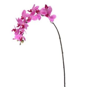 Euro Flora Yapay Çiçek Orkide 57.5cm