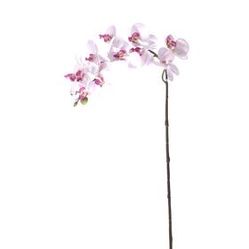 Euro Flora Yapay Çiçek Orkide 57.5cm