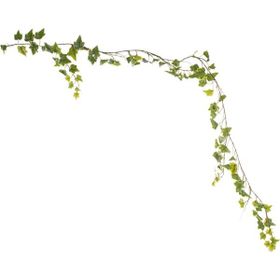 Euro Flora Yapay Sarmaşık 180cm