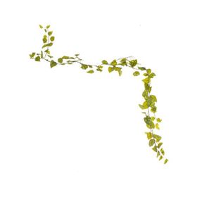 Euro Flora Yapay Sarmaşık 180cm