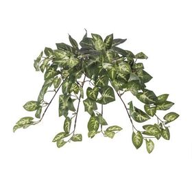 Euro Flora Yapay Sarmaşık Sygonıum Demet 42cm