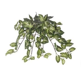 Euro Flora Yapay Sarmaşık Sygonıum Demet 42cm