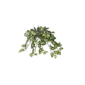 Euro Flora Yapay Sarmaşık Sygonıum Demet 42cm