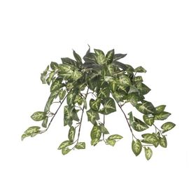 Euro Flora Yapay Sarmaşık Sygonıum Demet 42cm