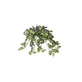Euro Flora Yapay Sarmaşık Sygonıum Demet 42cm