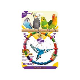 EuroBird Renkli Daire Salıncak Kuş Oyuncağı