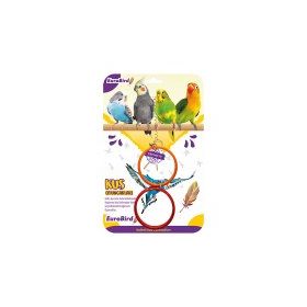 EuroBird Renkli İkili Halka Kuş Oyuncağı