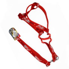Eurodog 25 mm 120 cm Kırmızı Köpek Uzatma + Göğüs Tasması