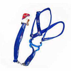 Eurodog 25 mm 120 cm Mavi Köpek Uzatma + Göğüs Tasması