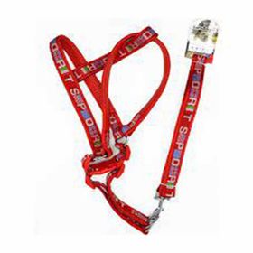 Eurodog Kırmızı 120 cm Köpek Uzatma + Göğüs Tasması
