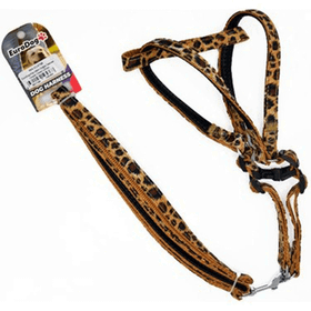 Eurodog Leopar 15 mm 120 cm Köpek Uzatma + Göğüs Tasması