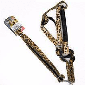 Eurodog Leopar 20 mm 120 cm Köpek Uzatma + Göğüs Tasması