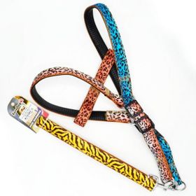 Eurodog Renkli 25 mm 120 cm Köpek Uzatma + Göğüs Tasması