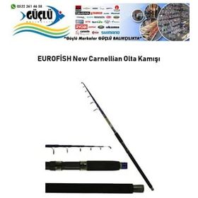 Eurofish Carnellian 100-200 gr 350 cm Olta Kamışı