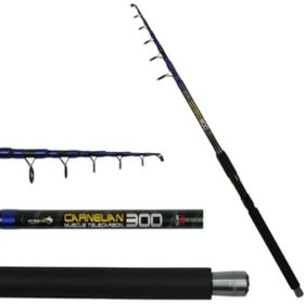 Eurofish Carnellian 300 cm 100-200 gr Olta Kamışı