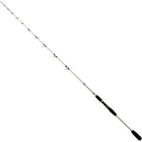 Eurofish Squid Master 165 cm 120 gr Tekne Kamışı