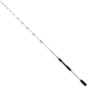 Eurofish Squid Master 180 cm 120 gr Tekne Kamışı