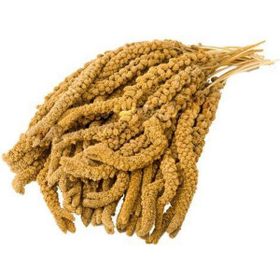 Eurogold 1000 gr Sarı Dal Darı