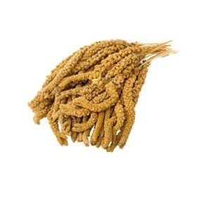 Eurogold 1000 gr Sarı Dal Darı