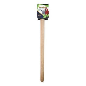 EuroGold Ahşap Düz Papağan Tünek 40 cm