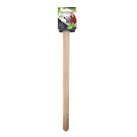 EuroGold Ahşap Düz Papağan Tünek 40 cm