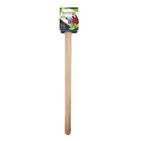 EuroGold Ahşap Düz Papağan Tünek 40 cm