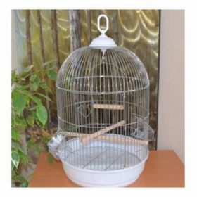 Eurogold Krom 34x55 cm Salon Kafesi Yuvarlak Kafes