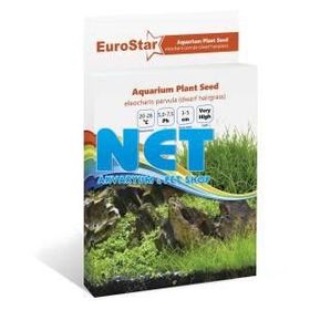 Eurostar Eleocharis Parvula Bitki Tohumu