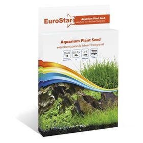 Eurostar Eleocharis Parvula Bitki Tohumu