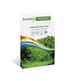 Eurostar Glossostigma Elatinoides Bitki Tohumu