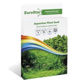 Eurostar Glossostigma Elatinoides Bitki Tohumu