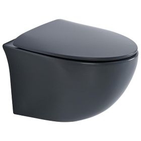 Eva Banyo ET-H203MKG Mat Gri Asma Klozet