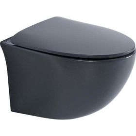 Eva Banyo ET-H203MKG Mat Gri Asma Klozet