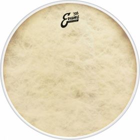 Evans BD16CT 16 inç Kick Derisi