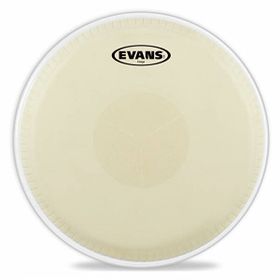 Evans EC1175E Conga Derisi