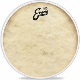 Evans TT10C7 10'' Calftone Tom Deri