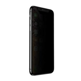 Evastore Apple iPhone 12 Pro Anti-Dust Privacy Temperli Ekran Koruyucu