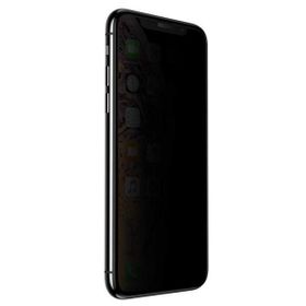 Evastore Apple İphone Xs Max 6.5 Anti-Dust Privacy Tempered Ekran Koruyucu