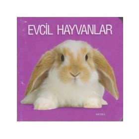 EVCIL HAYVANLAR - WILFRIED CARSTENS