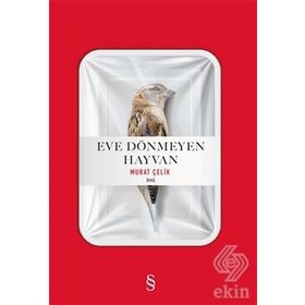 Eve Dönmeyen Hayvan - Murat Çelik