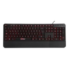 Everest Kb-r61 Işıklı Klavye