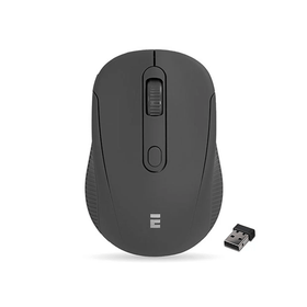 Everest SM-300 Siyah Mouse