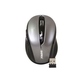 Everest SM-613 Gri Mouse