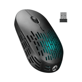 Everest SM-W73 Siyah Rainbow Aydınlatmalı Bluetooth Optik Mouse