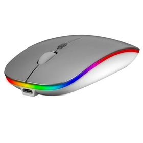 Everest SMW-306R Gümüş Mouse