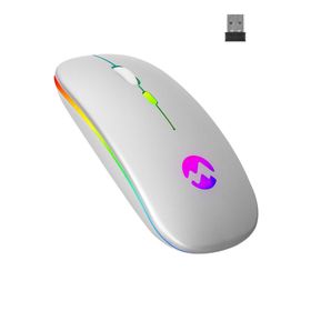 Everest SMW-710 Gri Kablosuz Mouse