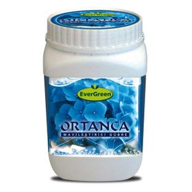 Evergreen Ortanca Mavileştirici 1 kg Gübre